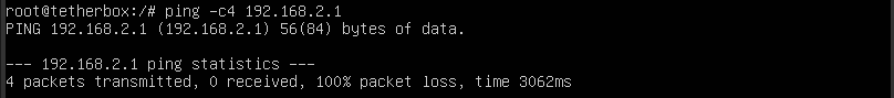 Ping showing 100% packet loss