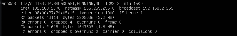 ifconfig after manual configuration